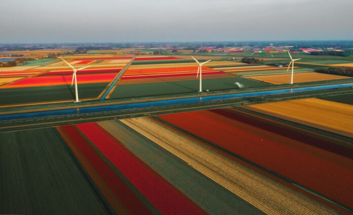 helicopter view of big, colored fields, 3 windmills standing on the fields, in the background even more and some houses