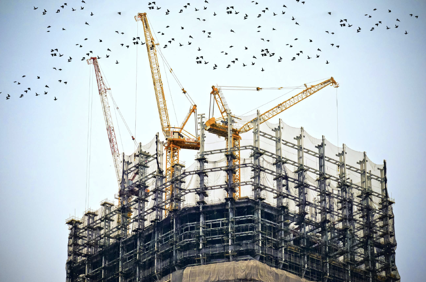 Image d'un chantier avec des grues de construction illustrant l'article BIMProve pour des chantiers sûrs et efficaces avec Catenda Hub