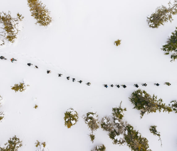 Catenda team walking on the snowy field